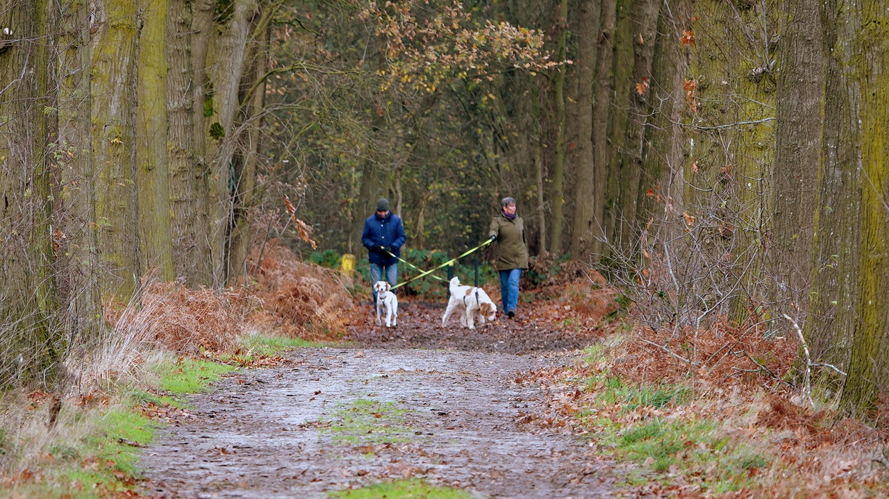 Vooral de tweede maandhelft was wat kouder. Foto: Ben Saanen