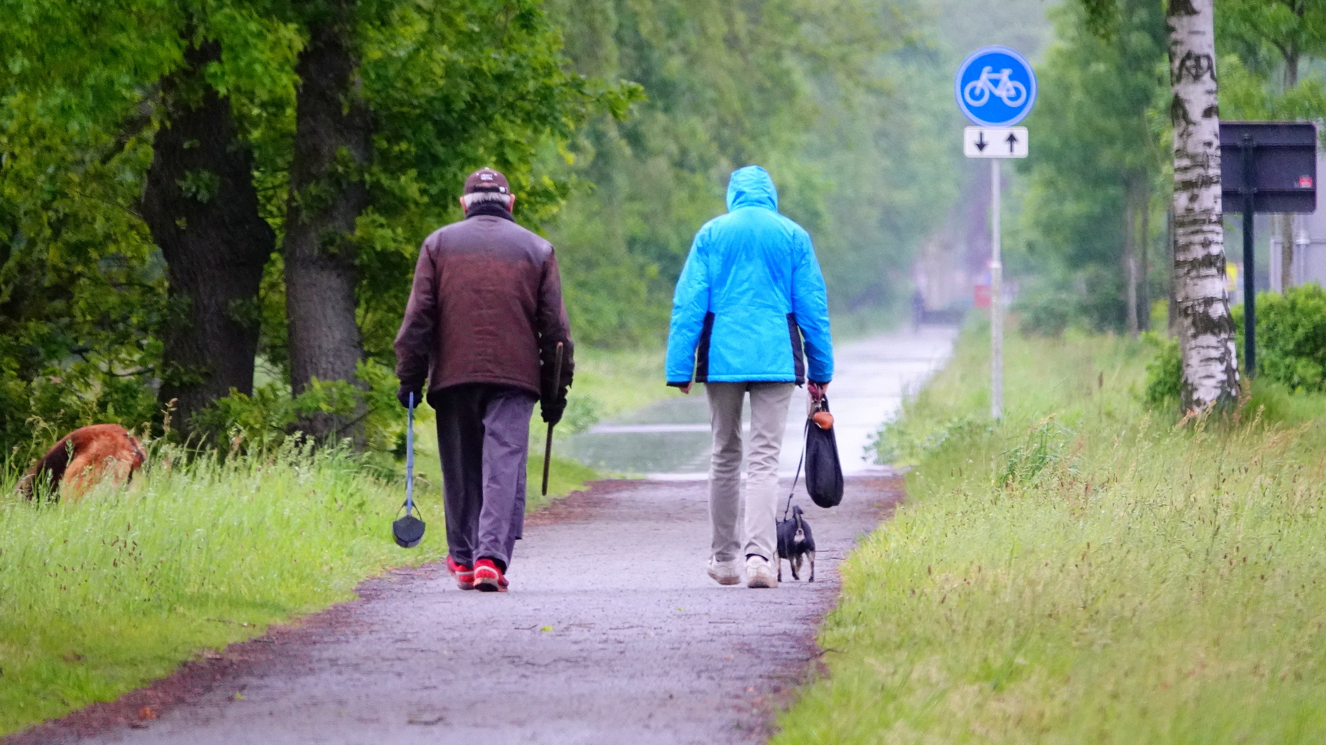 Weekendweer: koud en vaak nat tijdens Hemelvaart