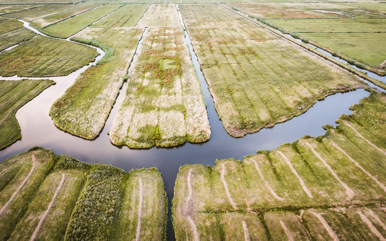 Aanhoudende droogte. Foto: JEFFREY GROENEWEG / ANP
