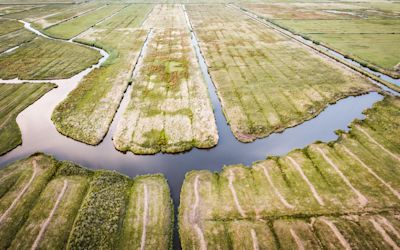 Watertekort in Nederland, extra maatregelen nodig vanwege droogte