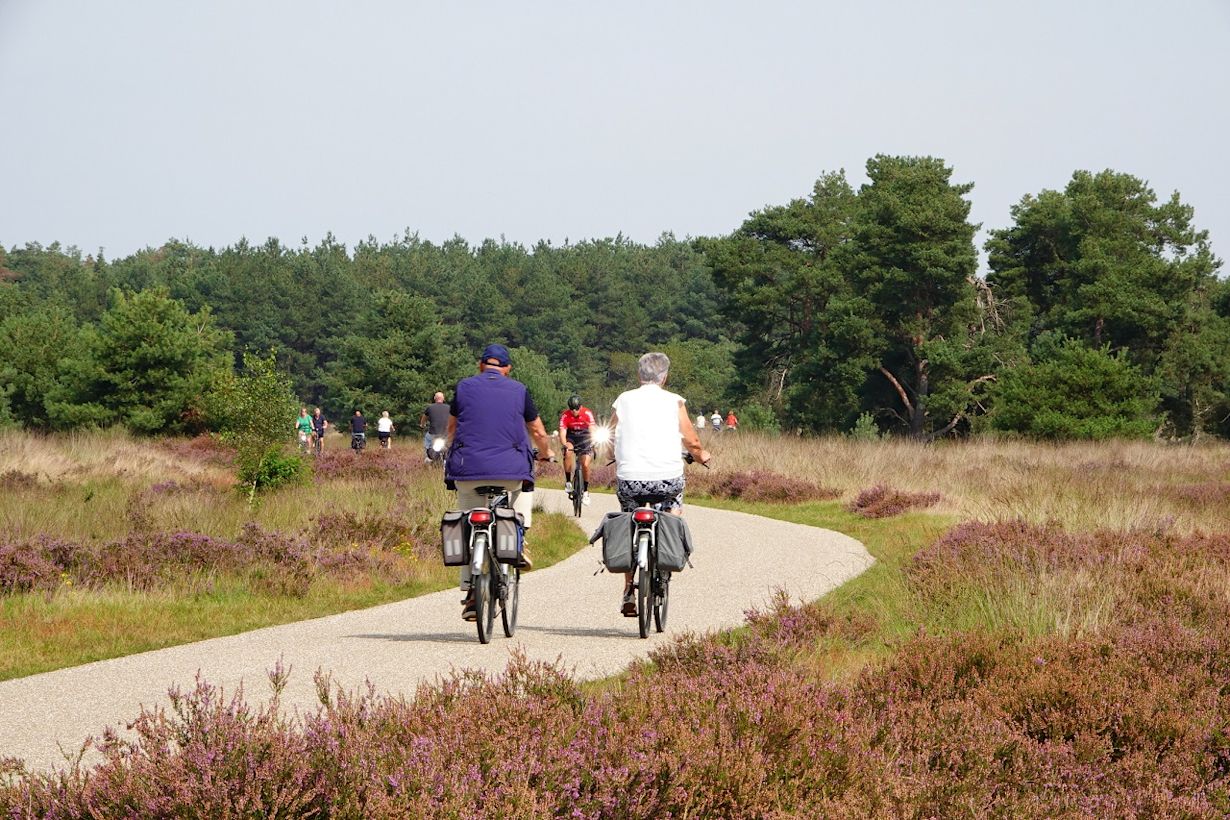 Heerlijk fietsweer op deze zomerse dag. Foto: Ben Saanen