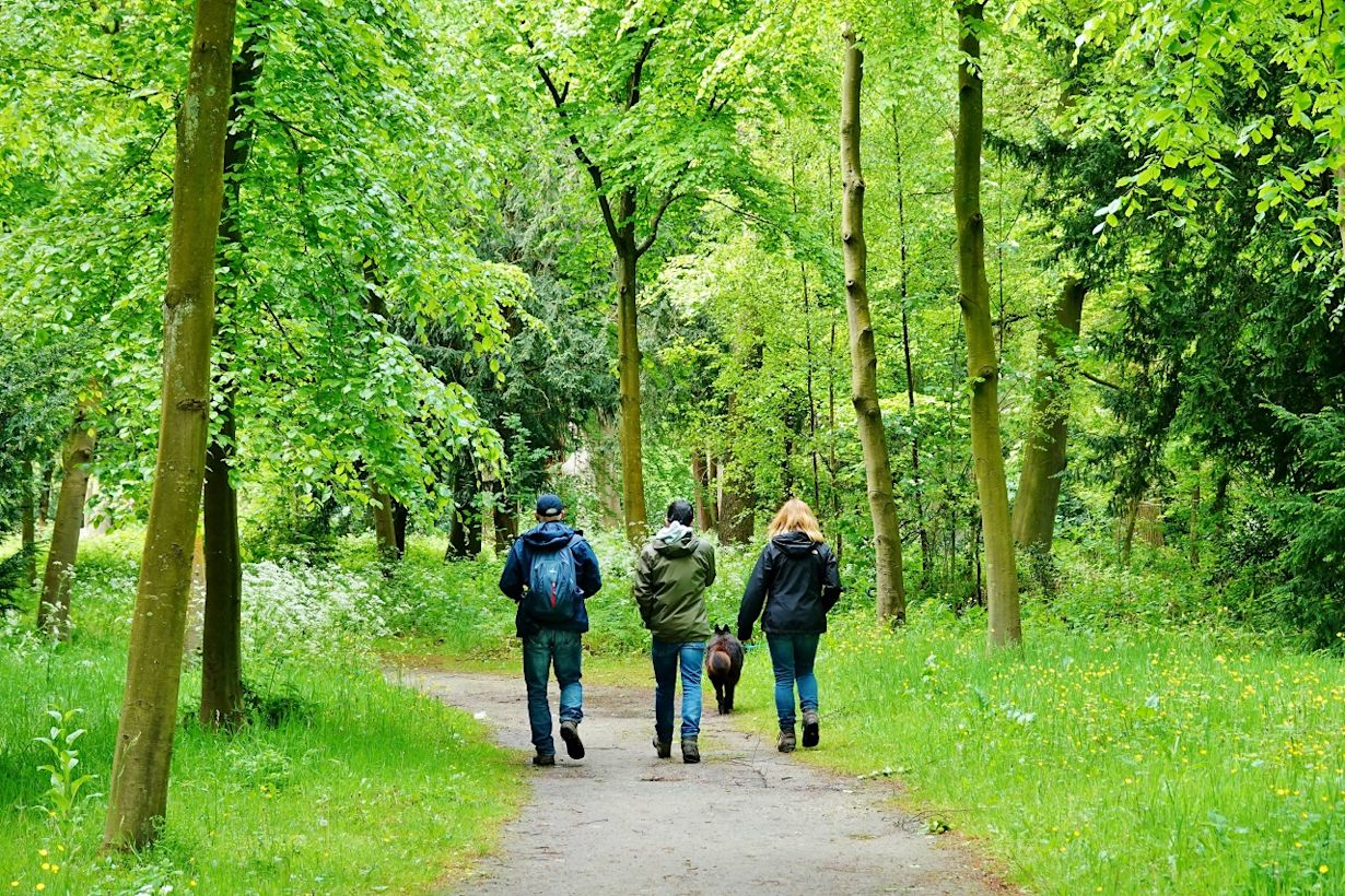 Koude, natte lente van 2021
Foto: Ton Wesselius