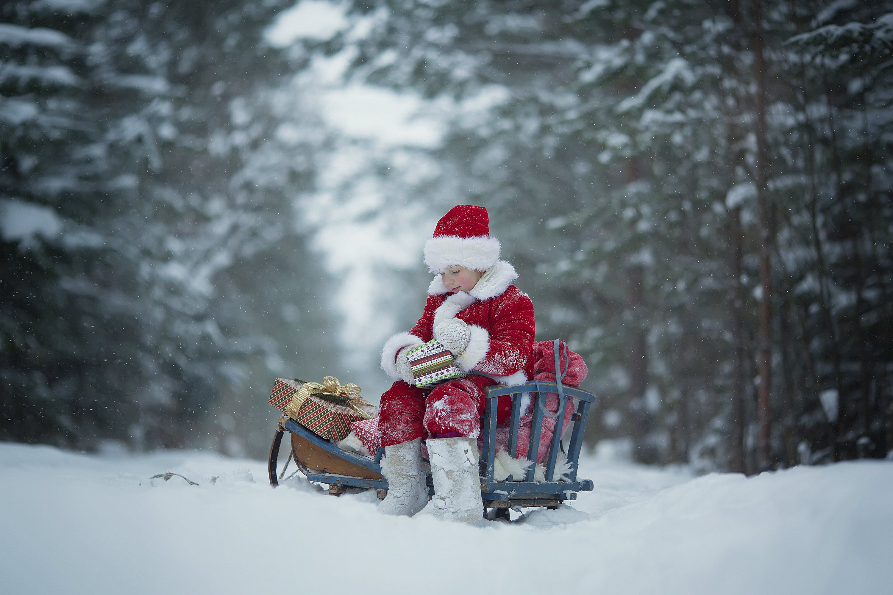Witte kerst in het bos. Foto: AdobeStock / Tatiana