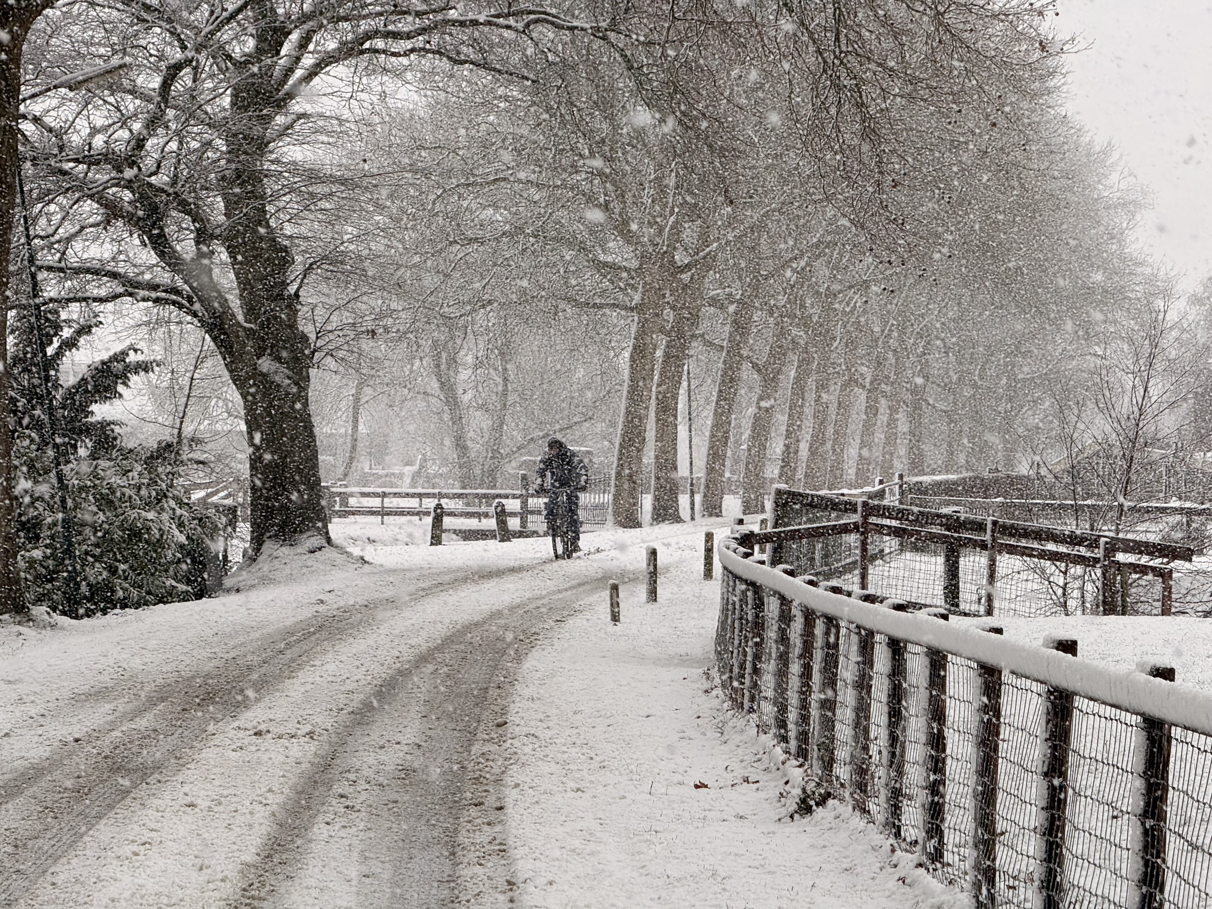 Ook na het weekend is dagelijks kans op verse sneeuw. Foto: Lotte van Woudenberg