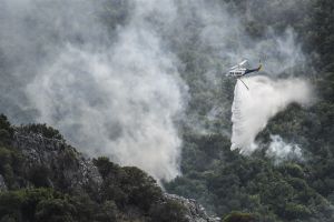 Bosbranden Griekenland na bijna twee weken onder controle