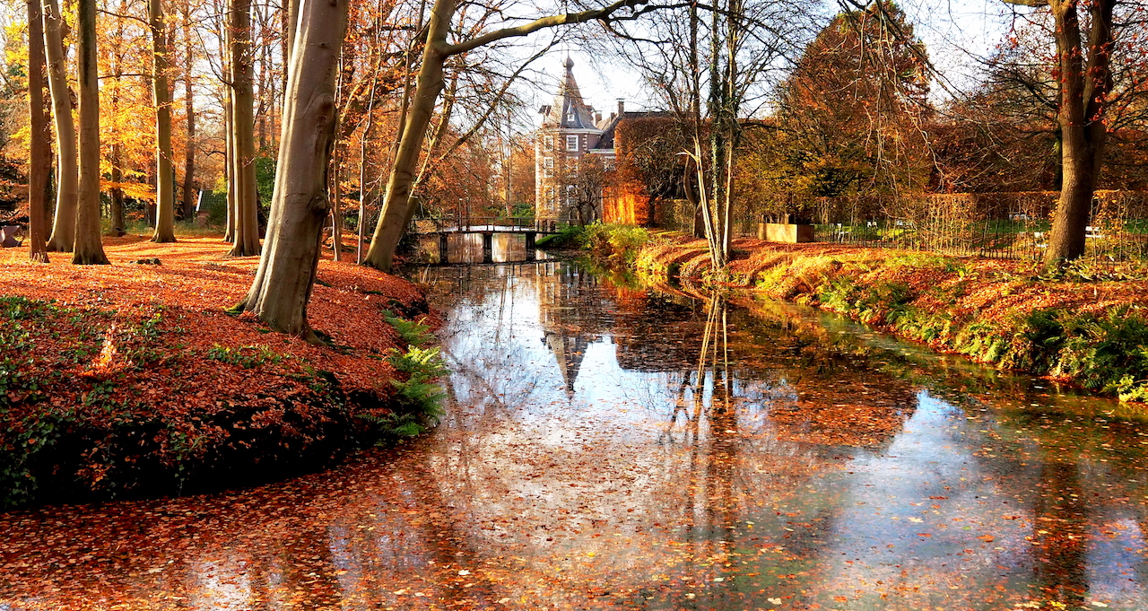 Vallende bladeren - Verkleuren van bladeren in de herfst - Rustig herfstweer - Herfstterugblik - Seizoensoverzicht 