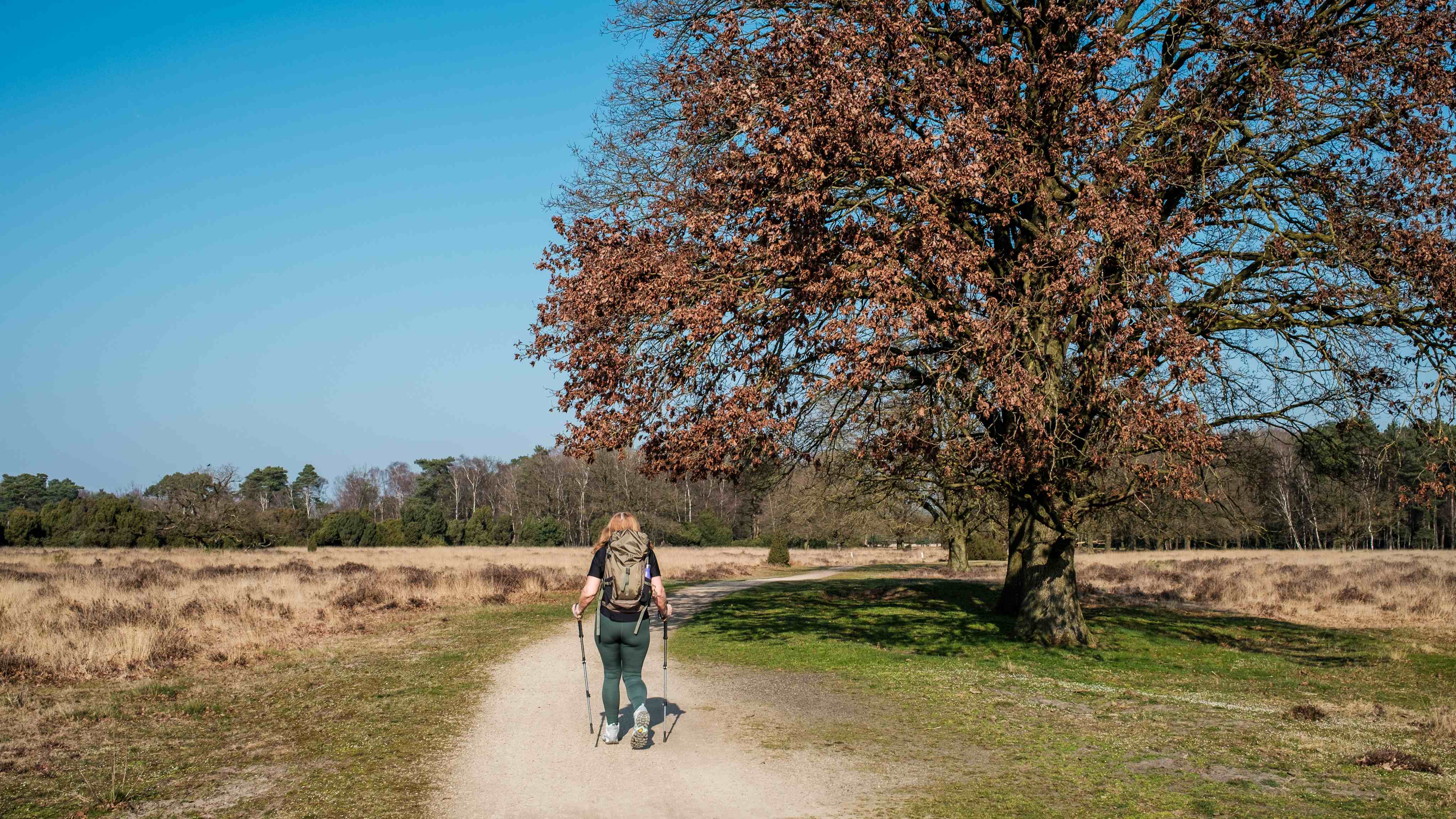 Maandverwachting april: stralend lenteweer of koud en guur?