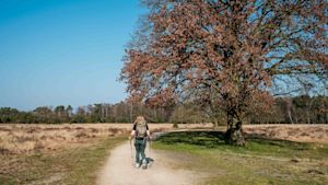 Maandverwachting april: stralend lenteweer of koud en guur?