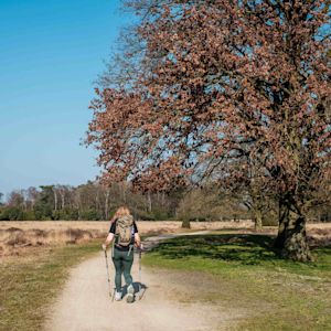 Maandverwachting april: stralend lenteweer of koud en guur?