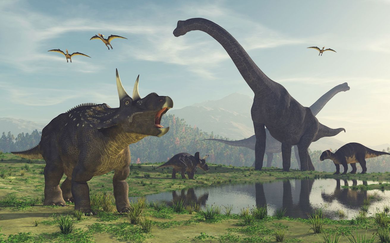 250 tot 66 miljoen jaar geleden werd de wereld gedomineerd door dinosauriërs. Foto: Adobe stock/Orlando Florin Rosu