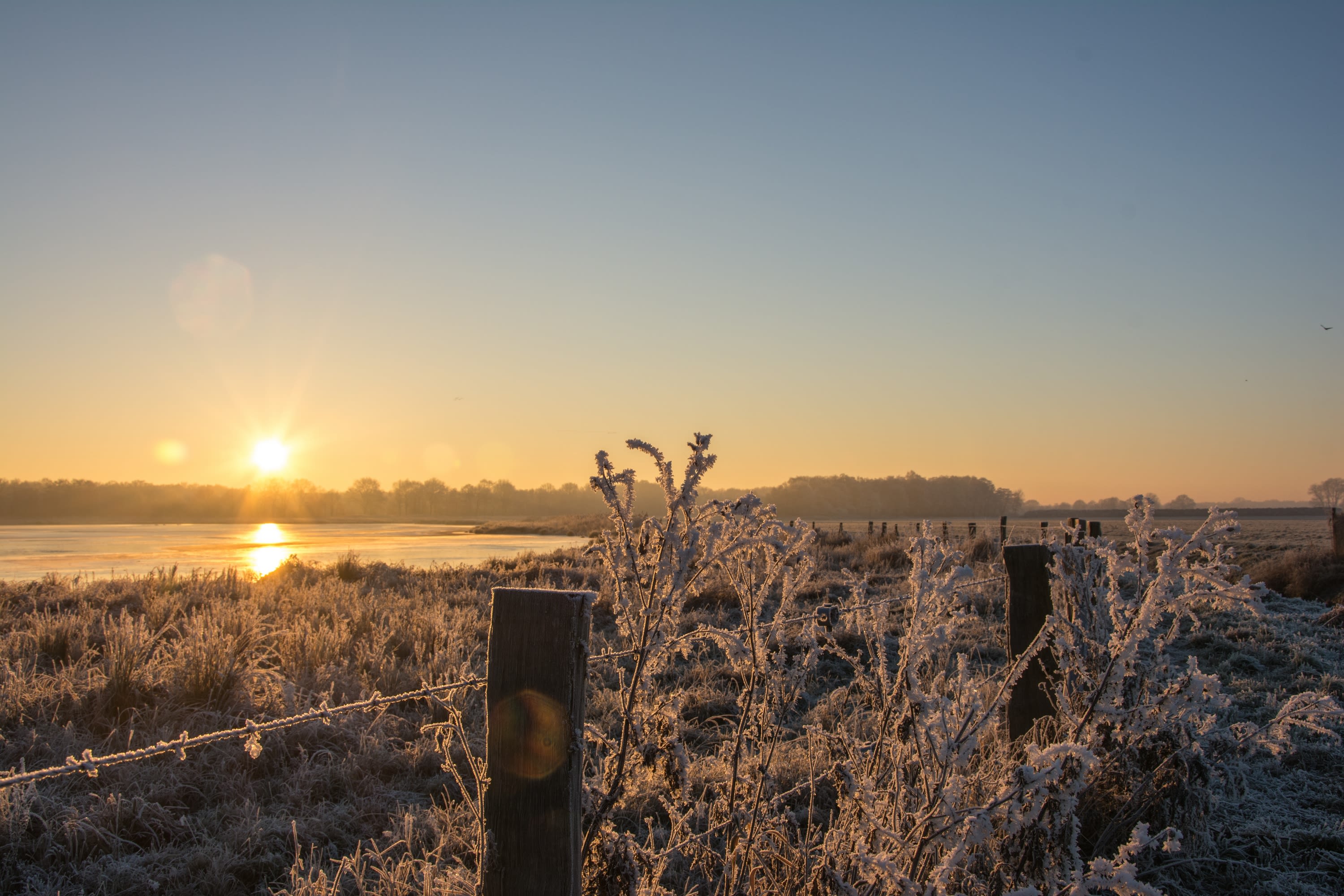 Rijp en heldere zonsopkomst in de winter