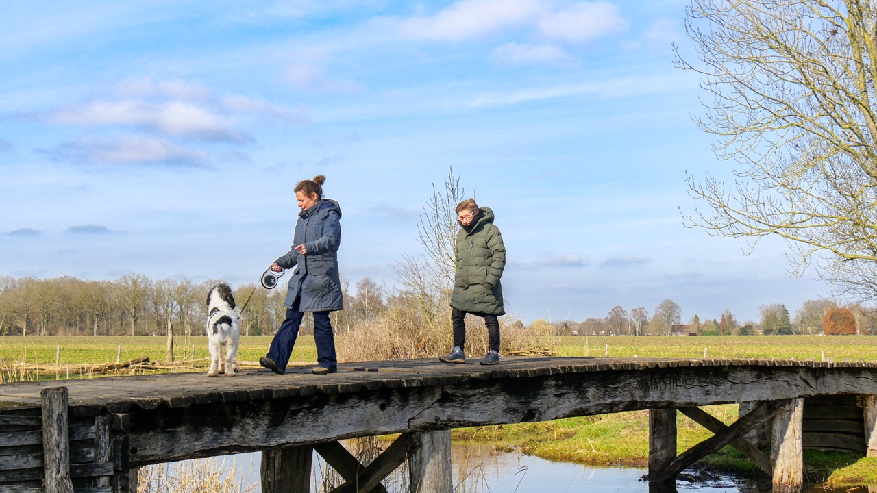 Februari was zacht, droog en somber