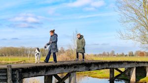 Februari was zacht, droog en somber