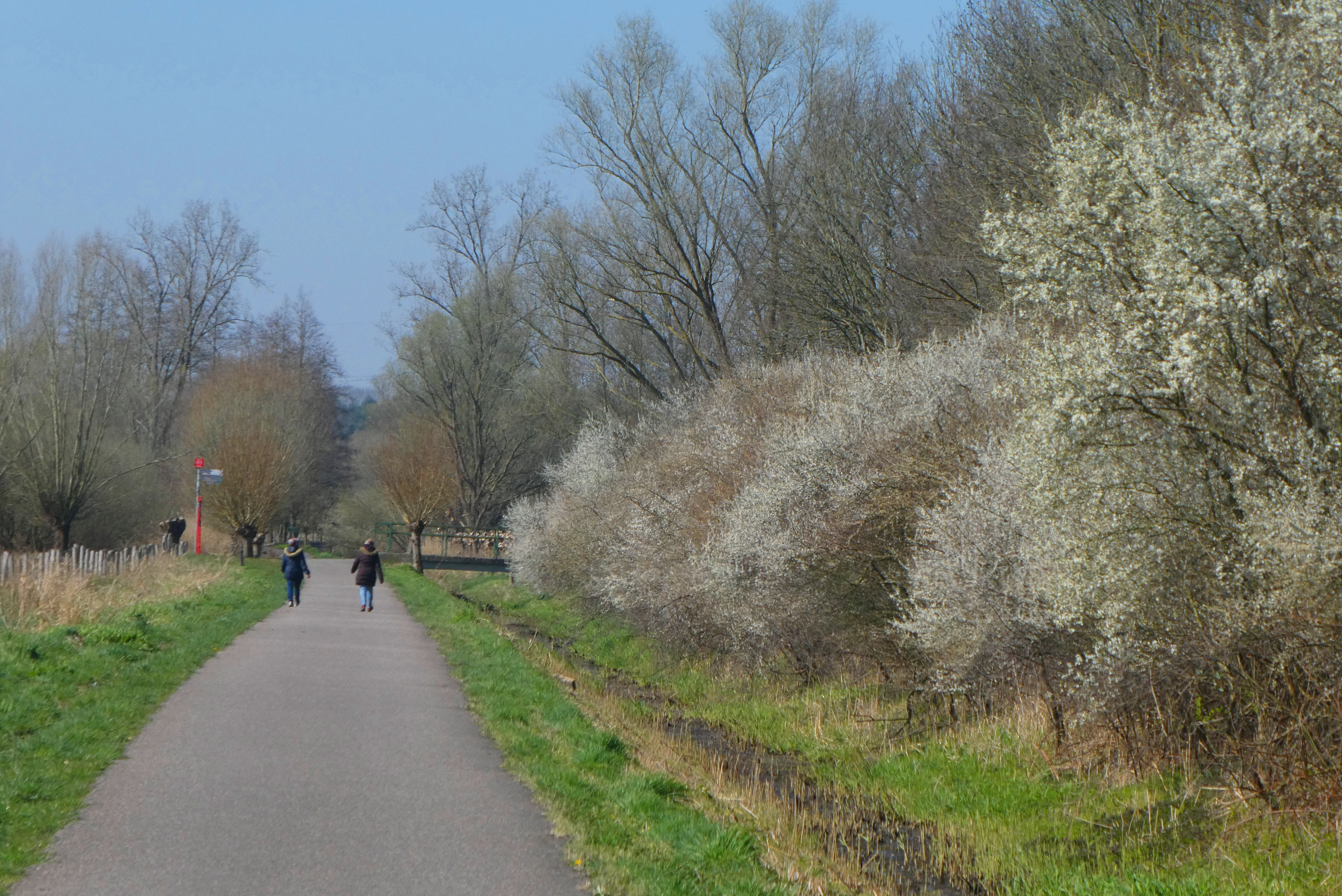 Zo koud begint zaterdag de astronomische lente