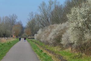 Zo koud begint zaterdag de astronomische lente
