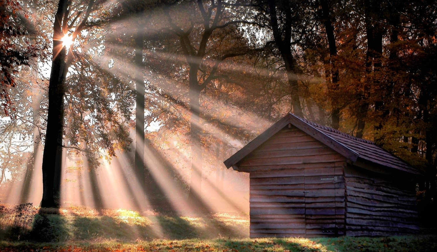 Zon breekt door de mist heen. Foto: Wouter van Bernebeek