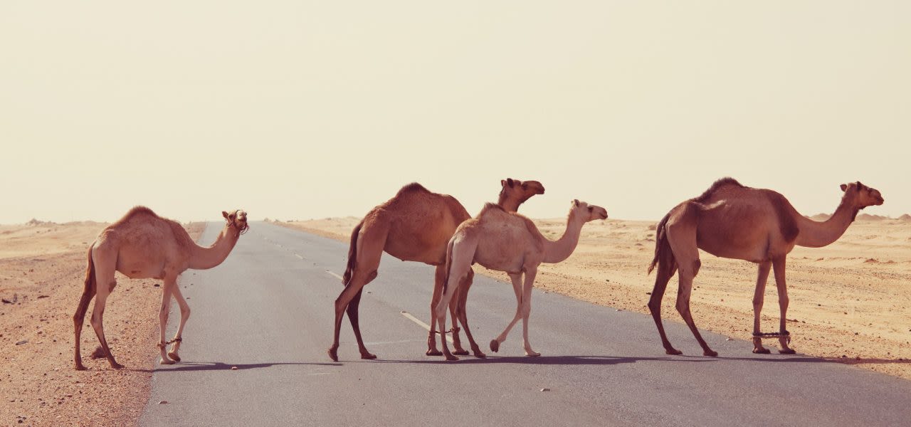 Top-10 heetste plekken op aarde