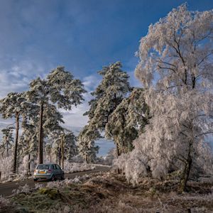 De leukste buitenactiviteiten bij mooi winterweer in Nederland