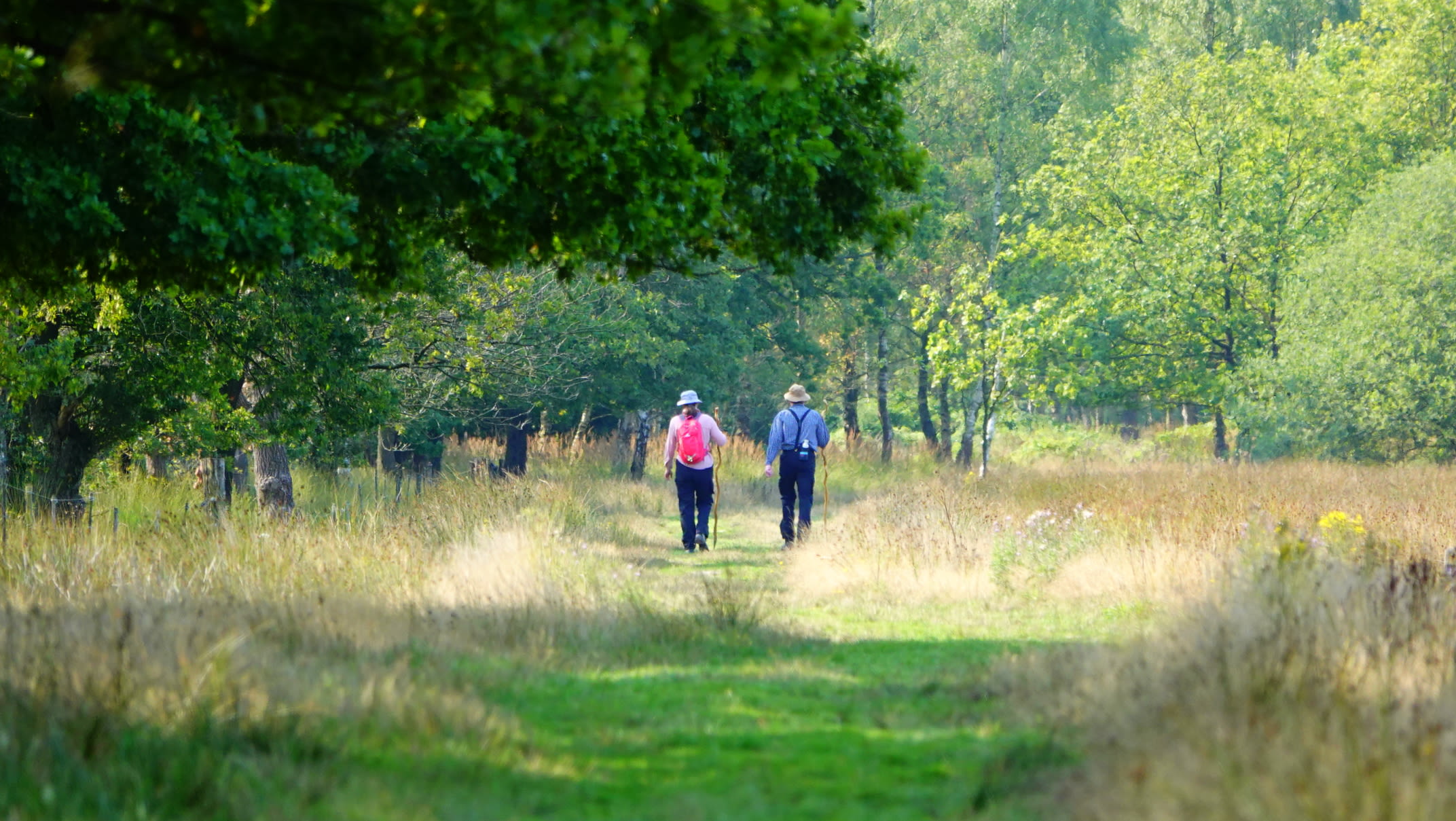 Het is dit weekend heerlijk weer om buiten te genieten van de natuur. Foto: Ben Saanen.