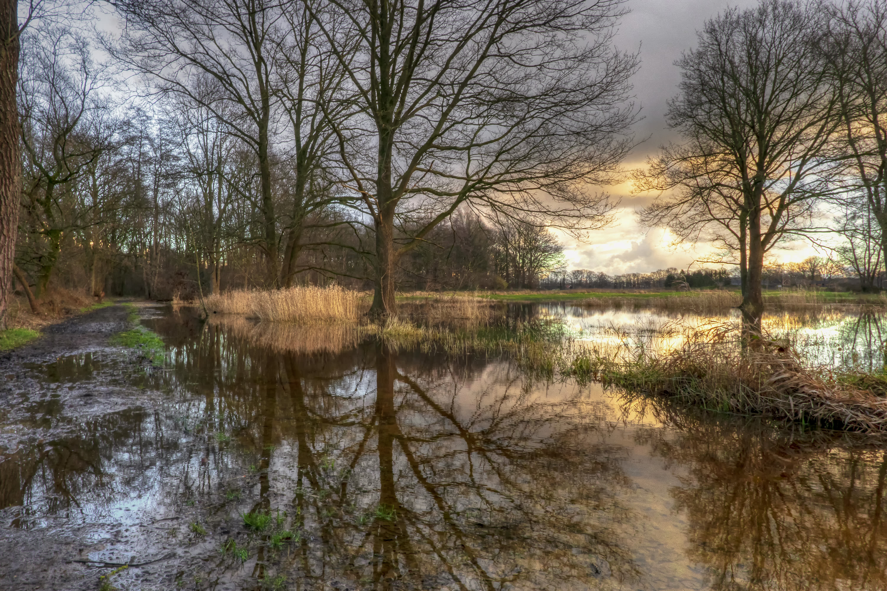 Nat en drassig landschap, foto: Nicky Wagenvoort