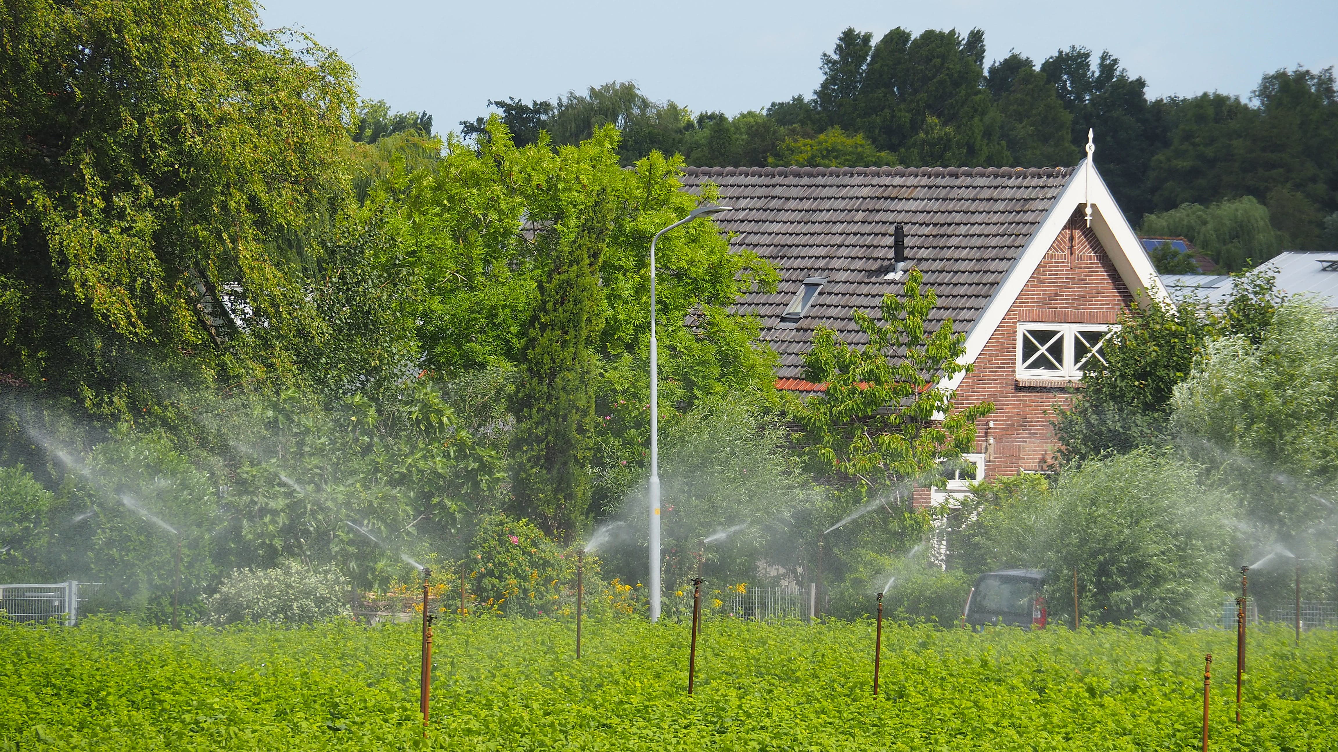 De droogte zal komende tijd weer toenemen! Foto: Nellie Bartels