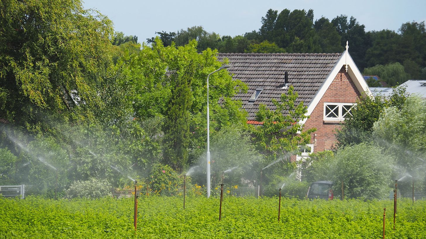 De droogte zal komende tijd weer toenemen! Foto: Nellie Bartels