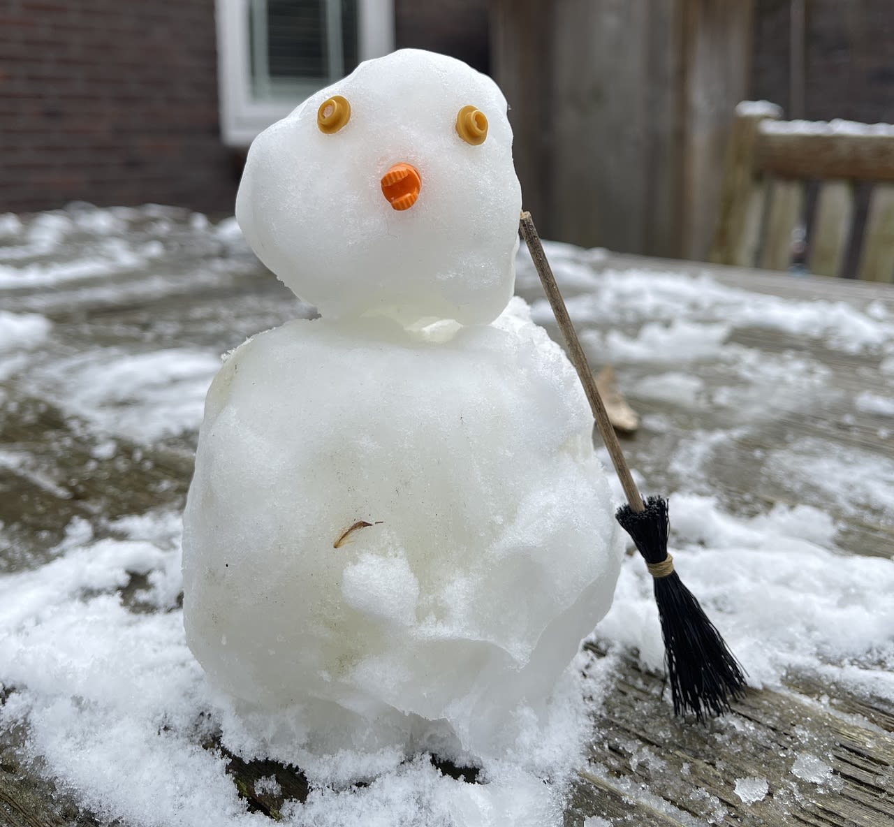 mini sneeuwpop, lente, 
Foto: Michael Sijbom 