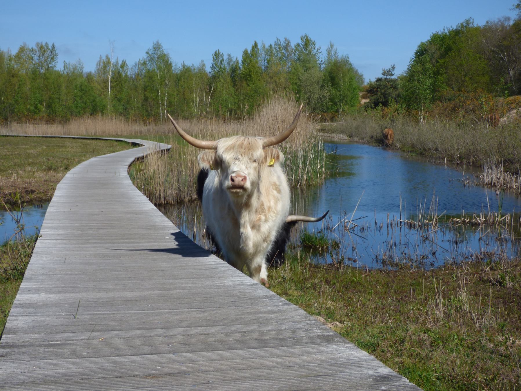 Weekendweer: zo warm en zonnig wordt het