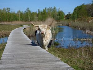 Weekendweer: zo warm en zonnig wordt het