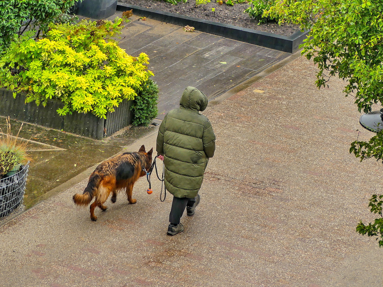 Maandverwachting Oktober: Indian Summer Of Herfst?