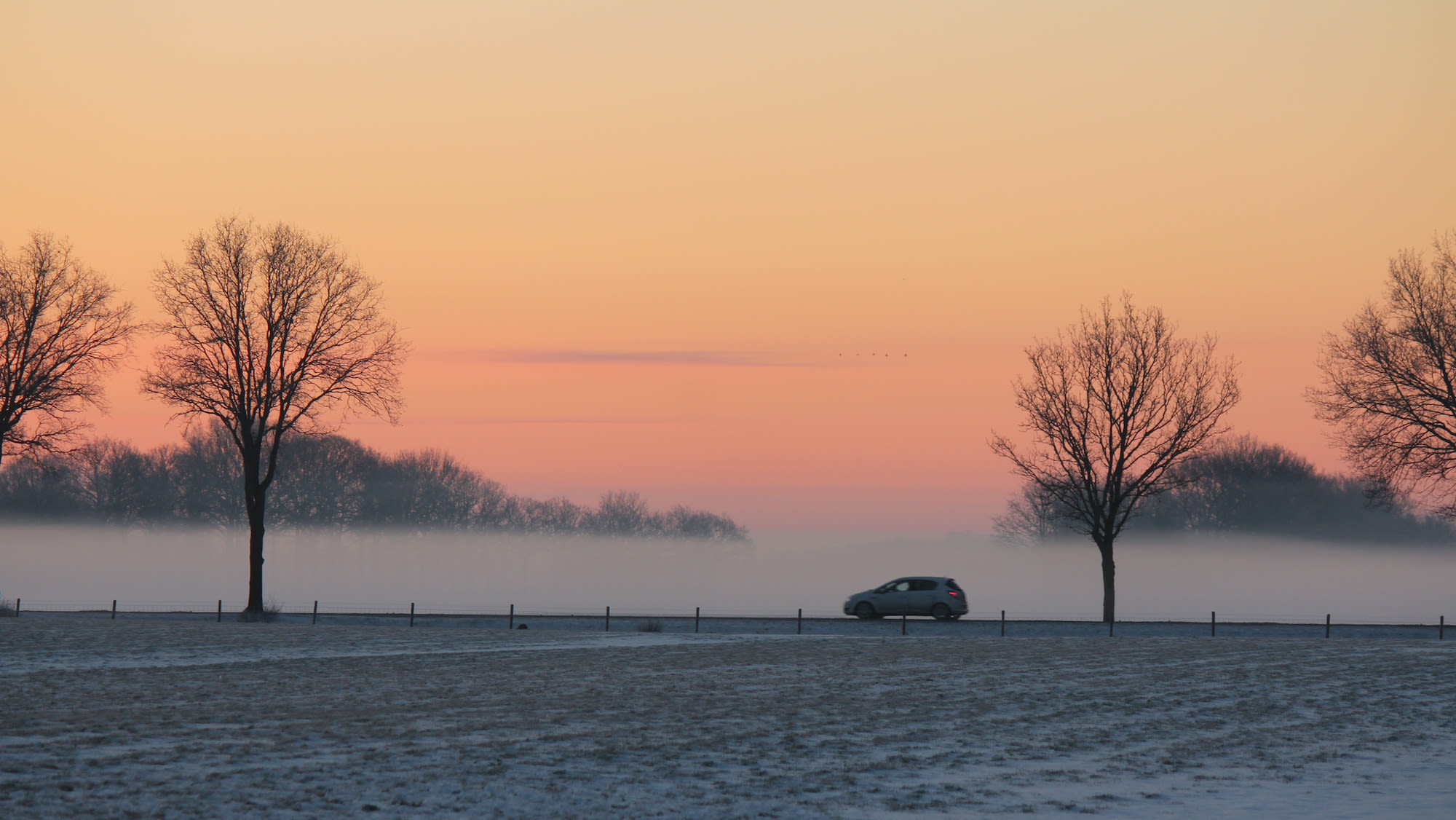 Mistbank boven besneeuwd weiland in de winter met auto op de achtergrond. Foto: Martin Vye.