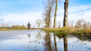Weerbericht voorjaarsvakantie: een stuk zachter, maar wordt het ook zonnig?