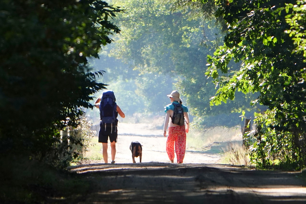 De zomer was zonnig en warm, net als de rest van het jaar. Foto: Ben Saanen