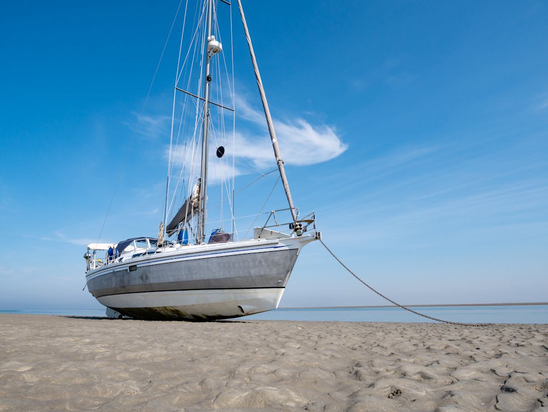 Waddenzee. Foto: Adobe Stock / TasfotoNL
