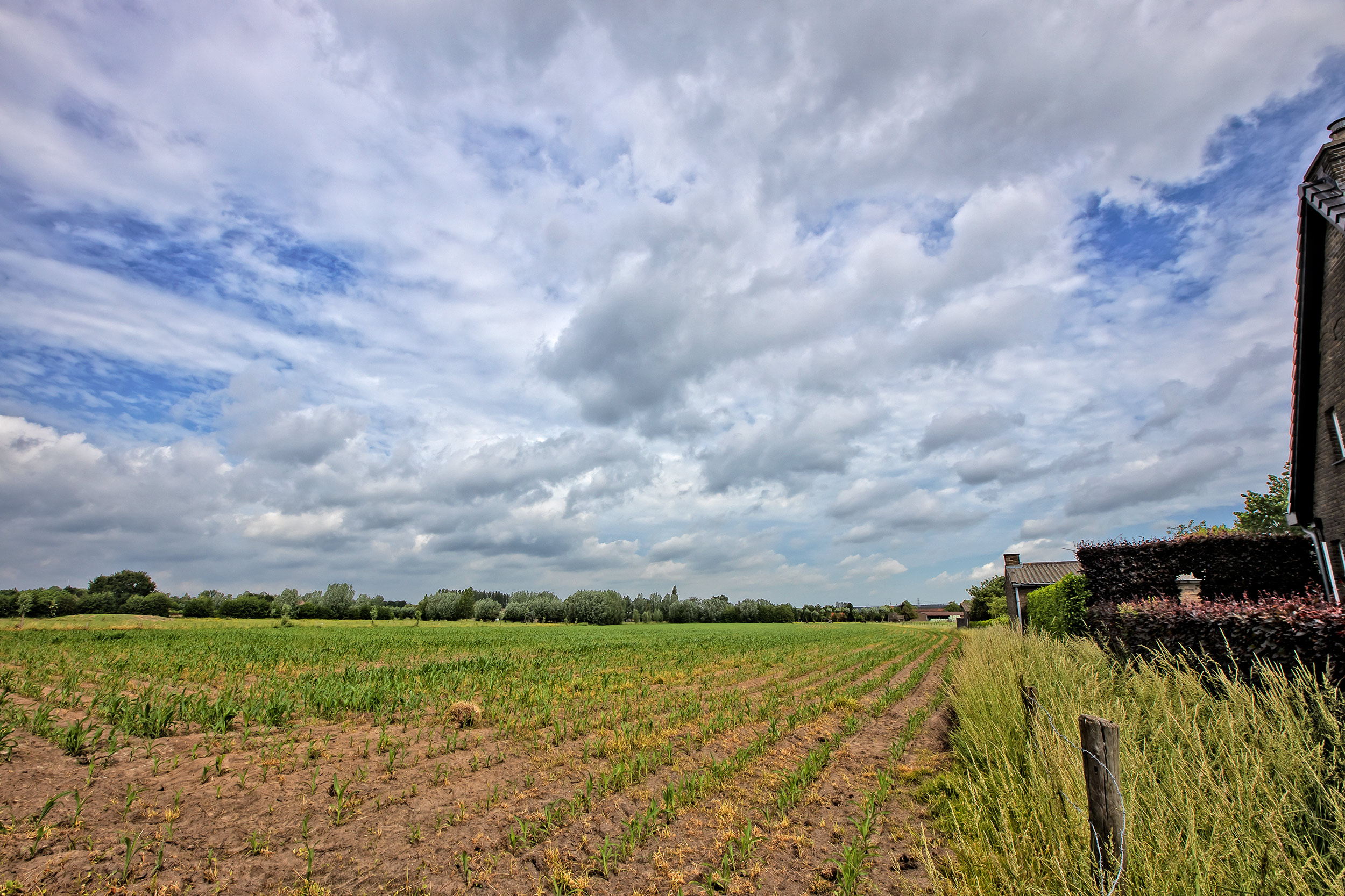 Foto: John Maenhout