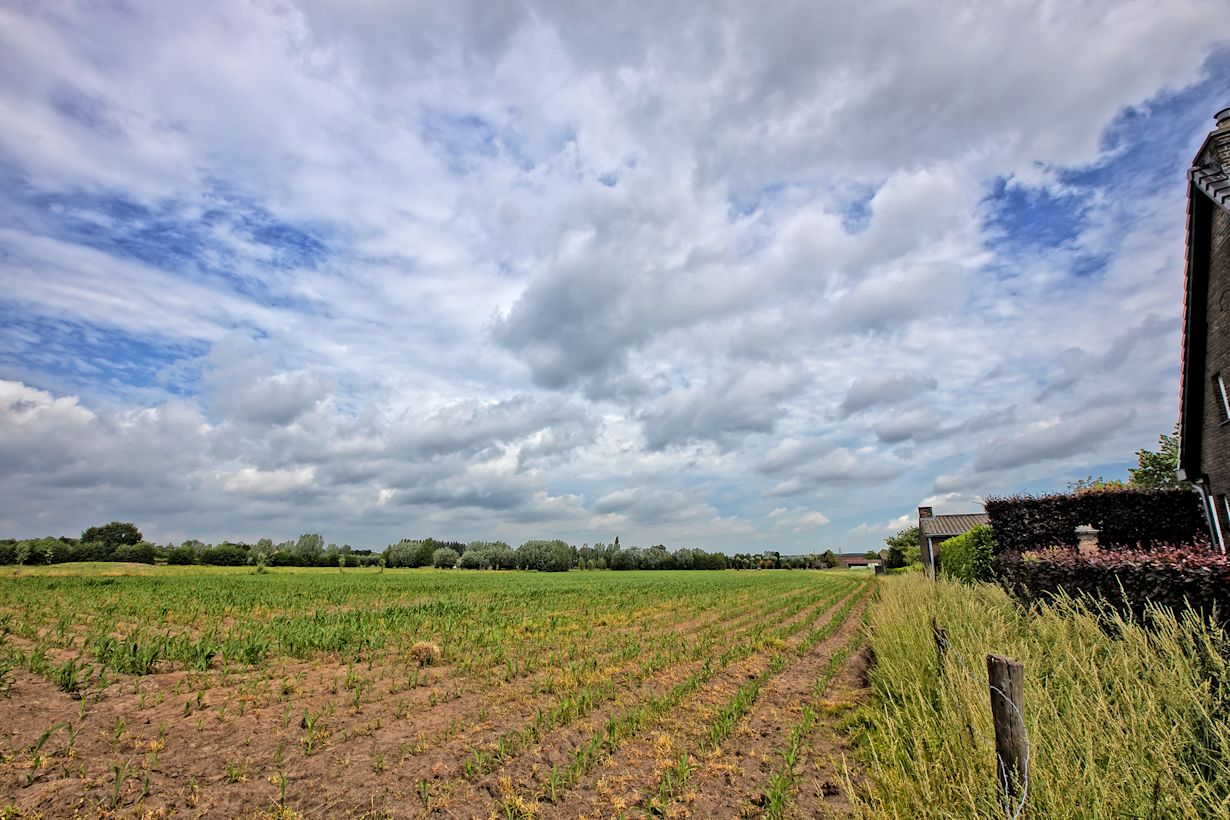 Foto: John Maenhout