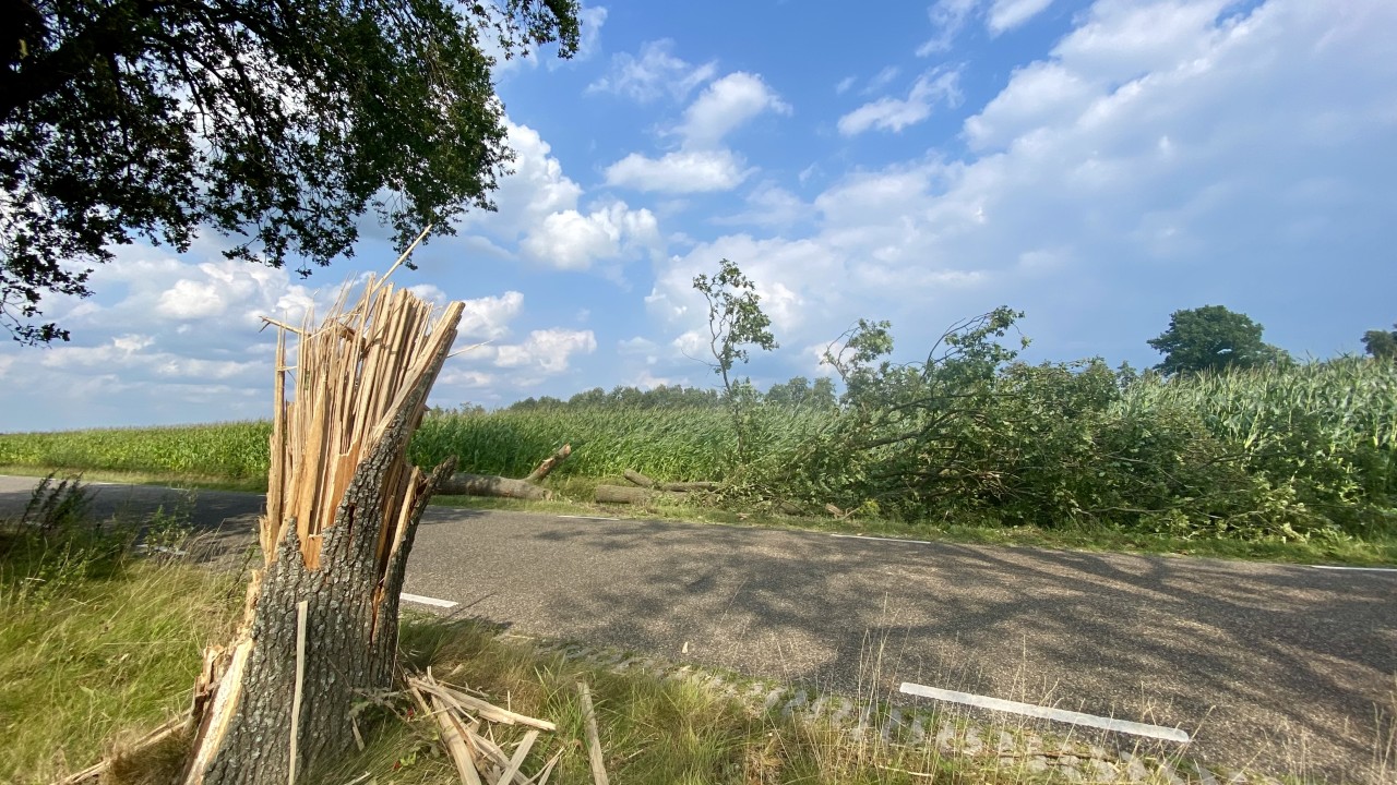 Stormschade door valwind in Ruinerwold, nabij Meppel. Foto: Lammie van Elp.