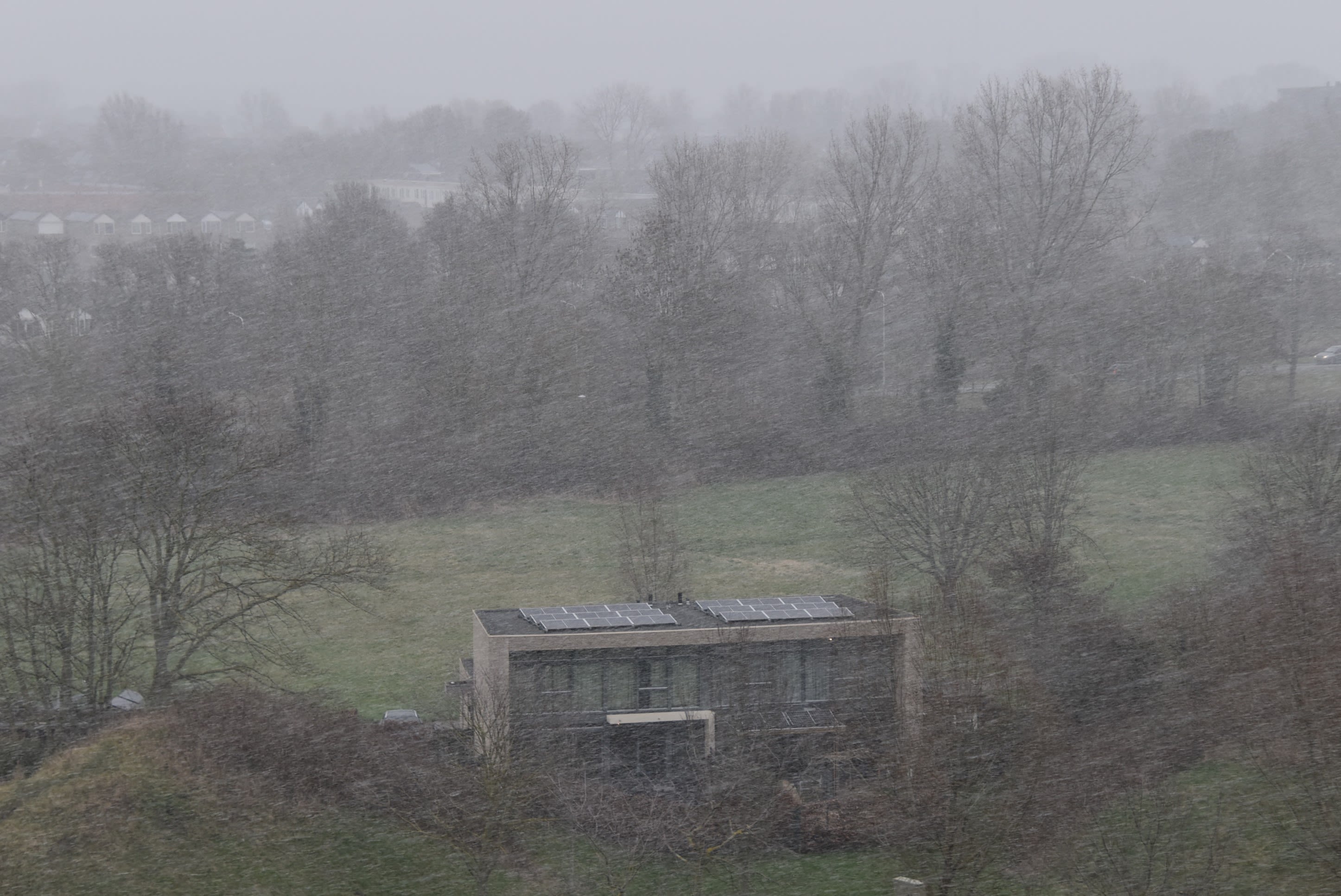 Sneeuwjacht in Vlissingen. Foto: Anne-Marie van Iersel