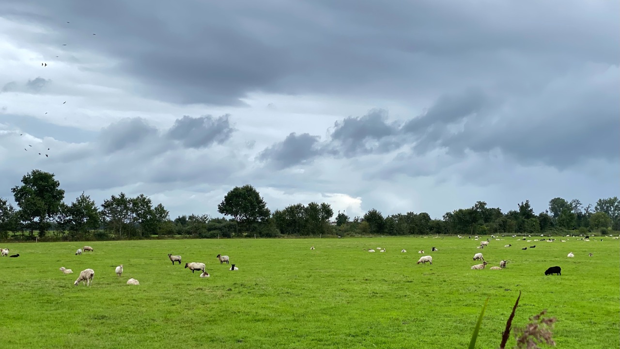 Neerslagtekort stabiel, droogteproblemen nog niet voorbij