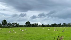Neerslagtekort stabiel, droogteproblemen nog niet voorbij