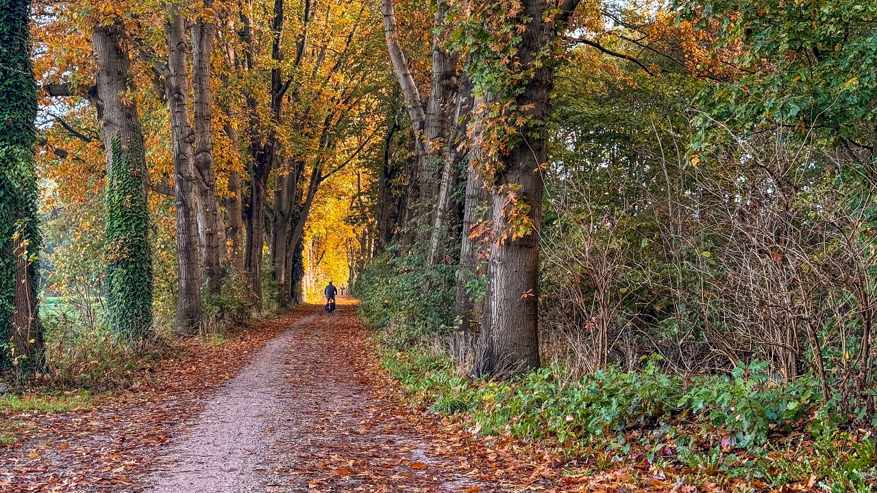 Het fraaie herfstweer heeft een datum-warmterecord opgeleverd. Foto: Burry Van den brink