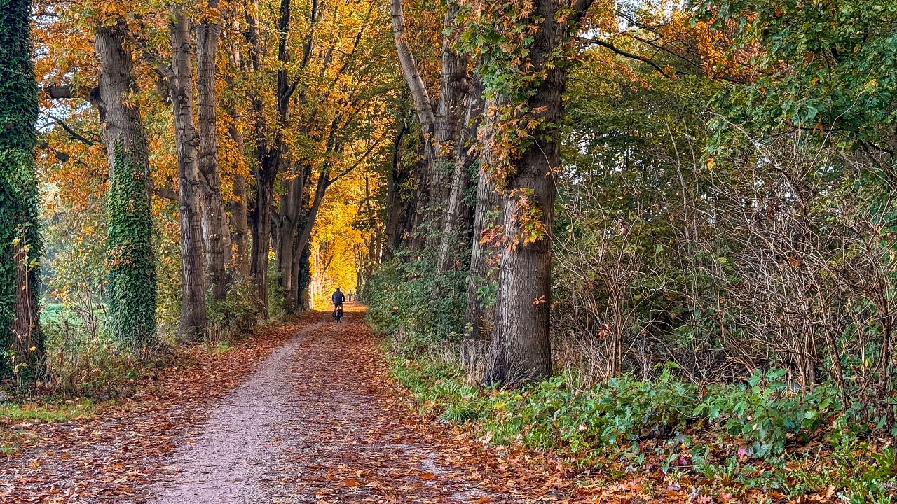 Het fraaie herfstweer heeft een datum-warmterecord opgeleverd. Foto: Burry Van den brink