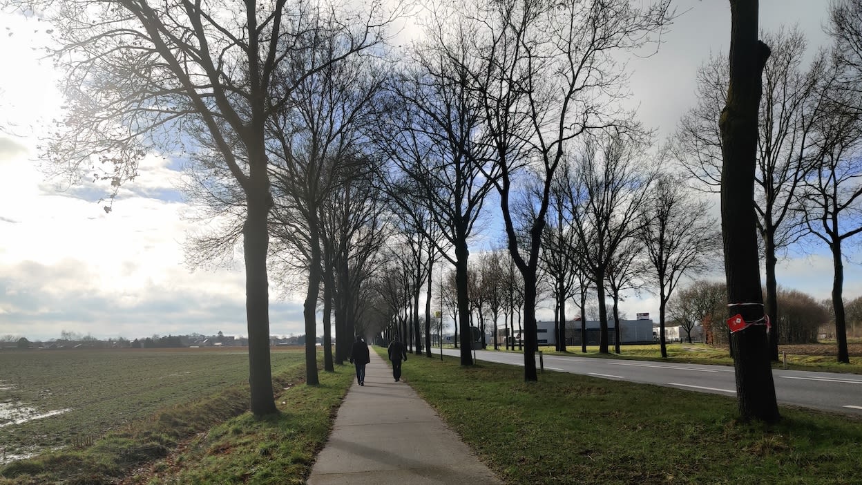 Tussen de buien door schijnt soms ook de zon. Foto: Roos Vaessen.