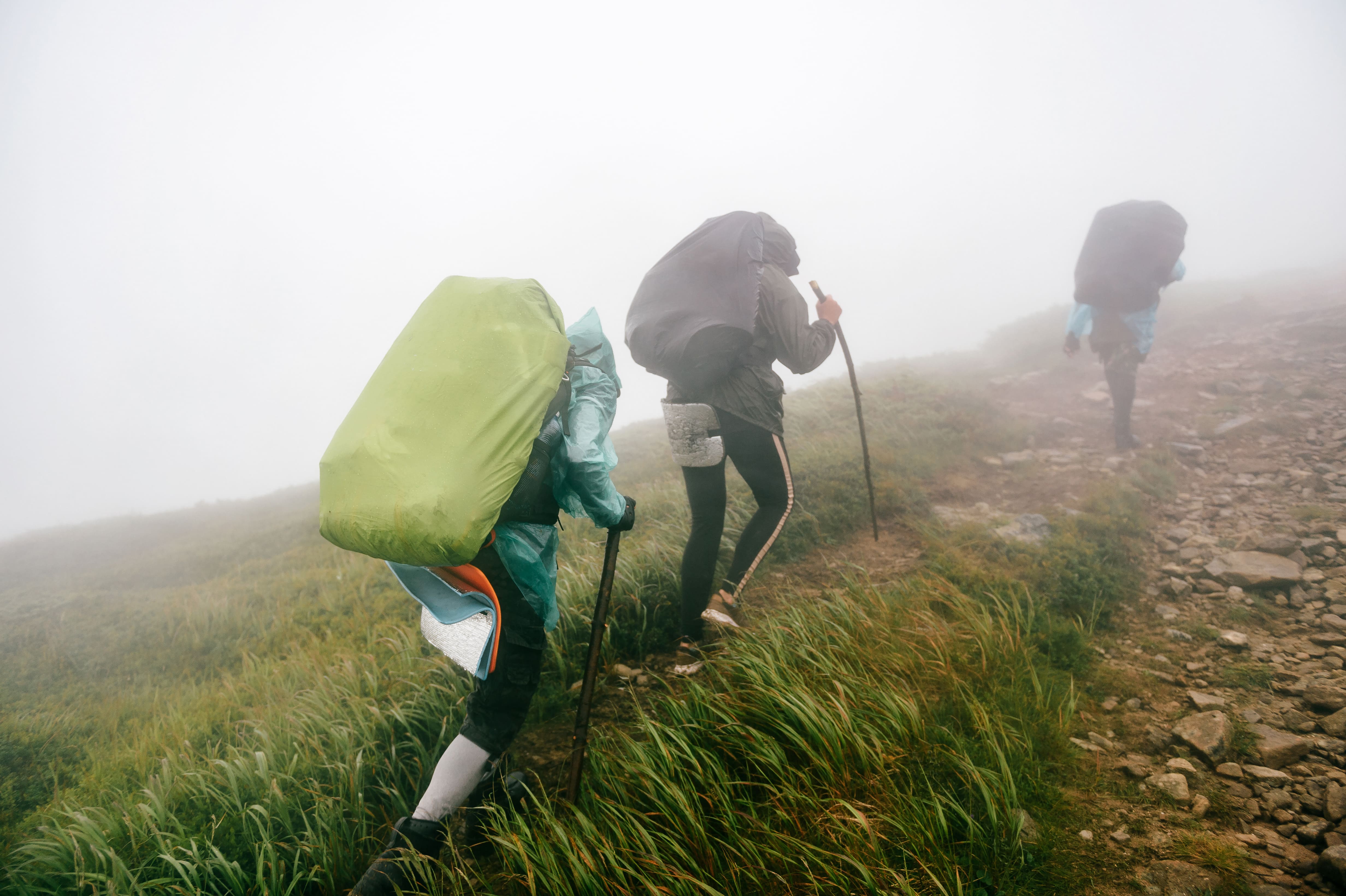 Bij een wandeling met mist heb je verminderd zicht en is er meer risico om te verdwalen. Foto: Adobe Stock / benevolente