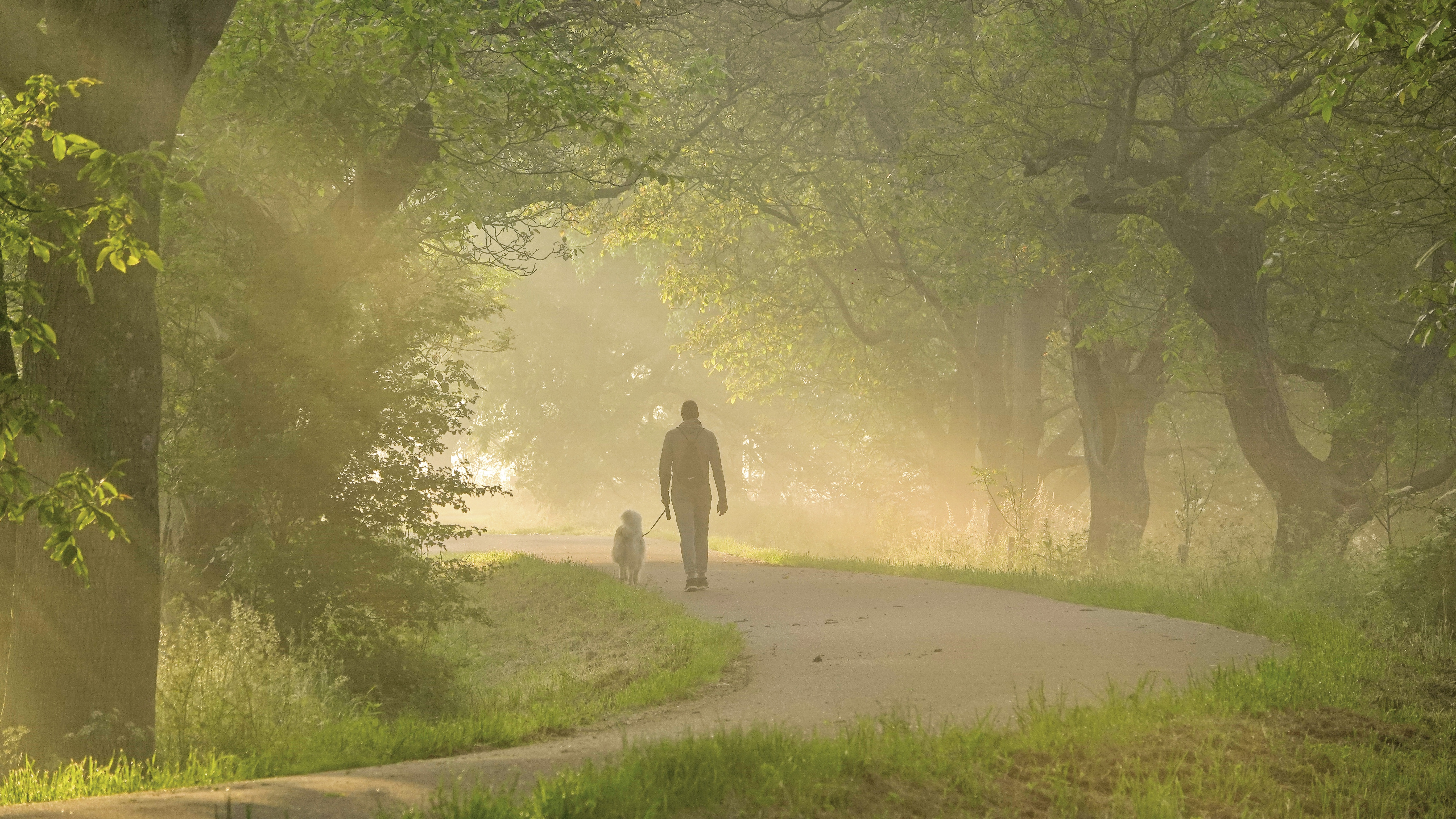 Weekverwachting: aanhoudend zomers of toch wisselvallig?