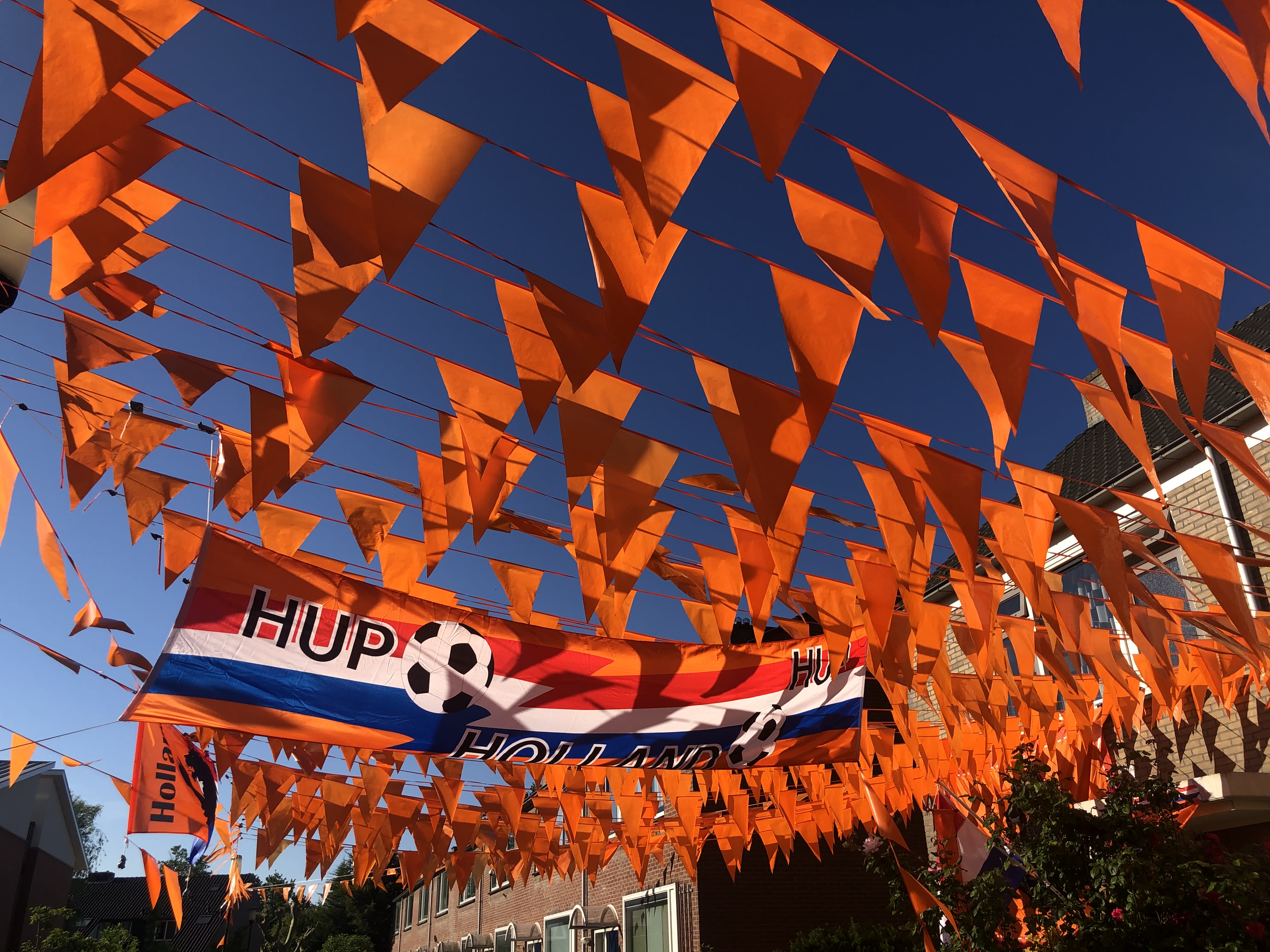 Oranje vlaggetjes. 
Foto: Jolanda Bakker