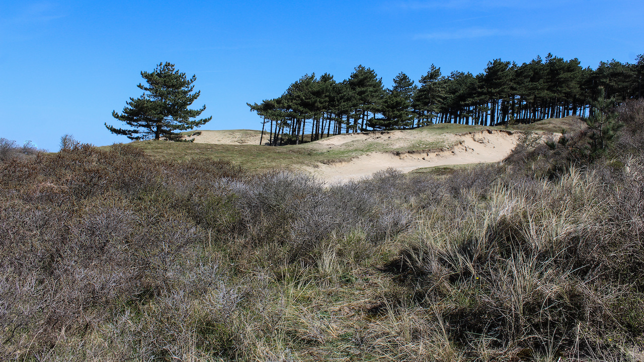 Nationaal Park Zuid-Kennemerland. Foto: Adobe Stock / Michael Meijer
