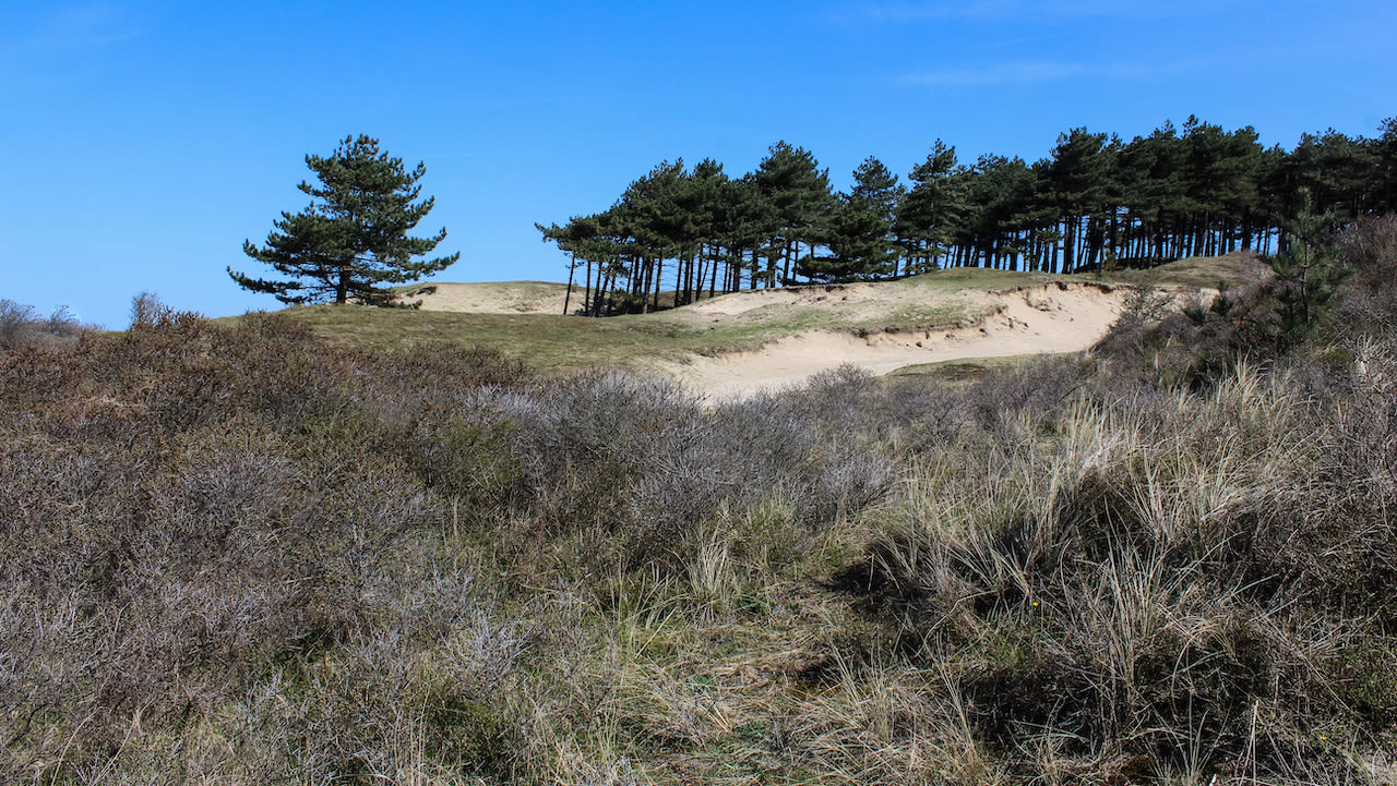 Nationaal Park Zuid-Kennemerland. Foto: Adobe Stock / Michael Meijer