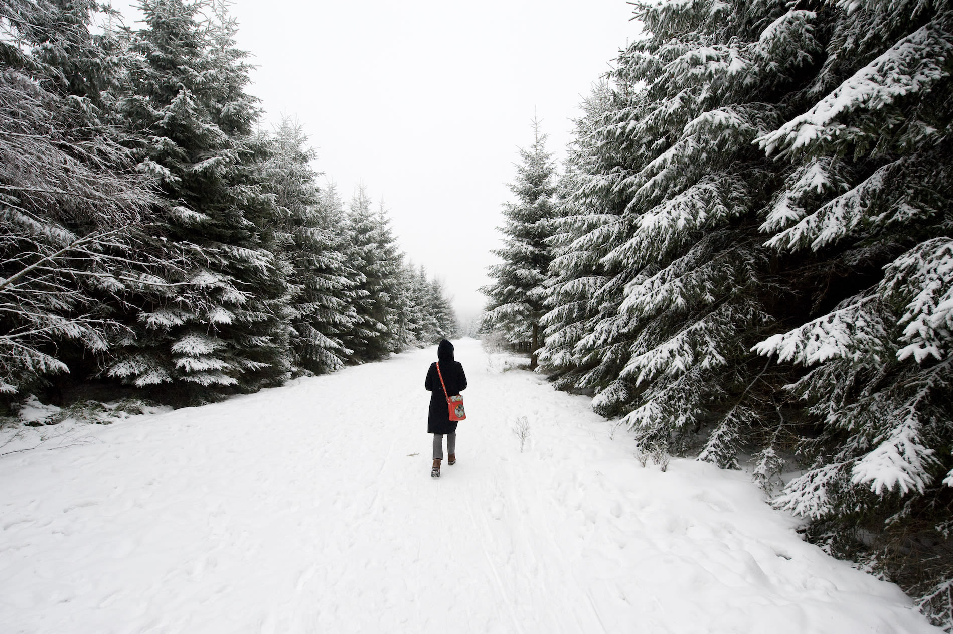 Wandelen in de sneeuw in de Ardennen. Foto: Adobe Stock / Eric Gevaert