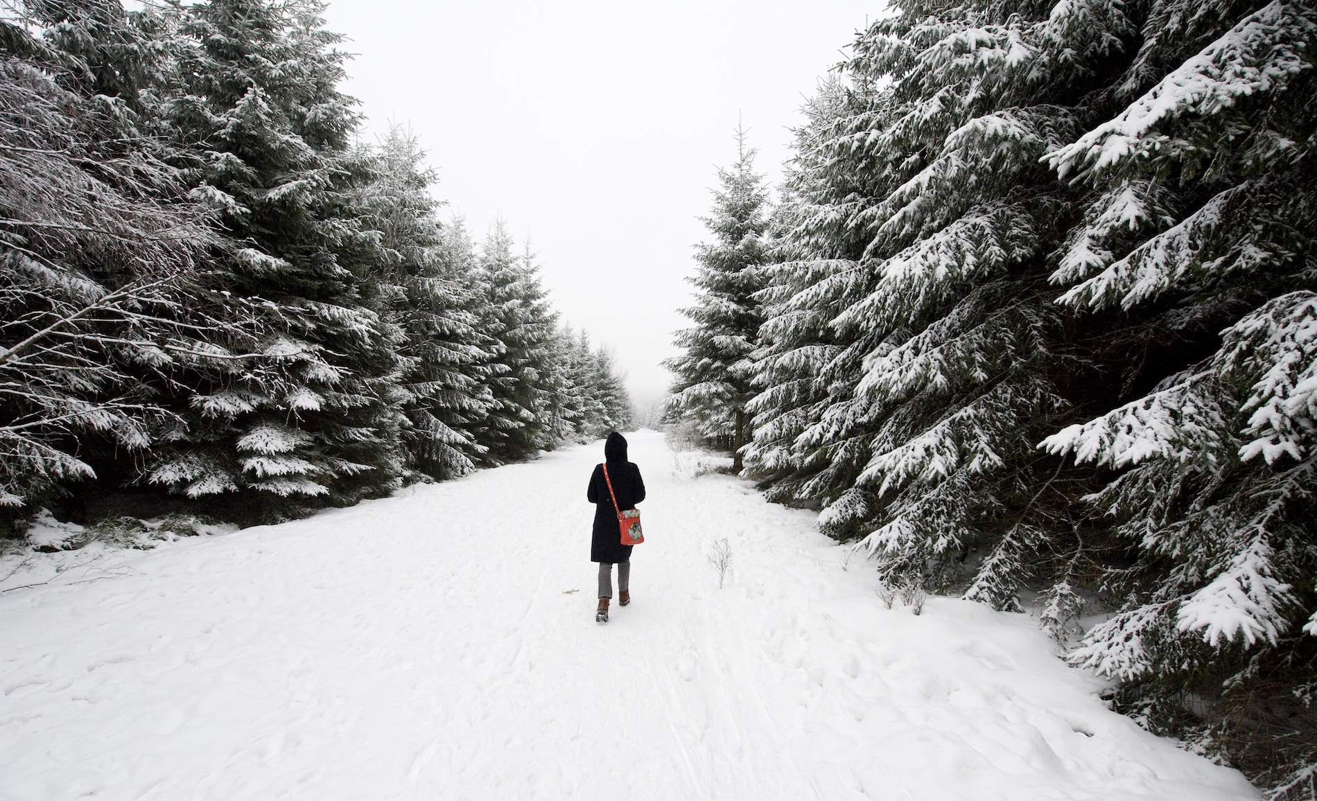 Dit weer is normaal in december